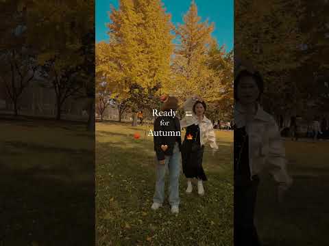 #🍁여주가을여행지🍁#강천섬 #은행나무길🥰🥰