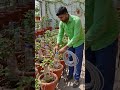Ghar Par Banaye Automatic Paudhon Ko Pani Dene Ka Jugaad 🌱💧
