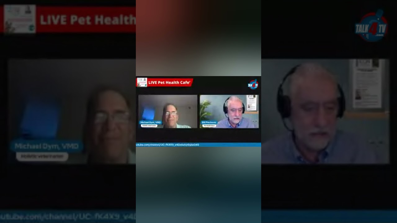 Bill Piechocki discusses the immunization controversy in pets