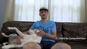 Supporting English Learners: 3 Strategies That Work