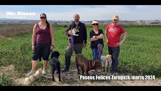 Paseos Felices Mr. Hueso Zaragoza, con la gata Lola, marzo 2024