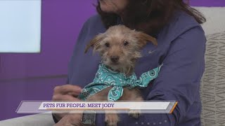 Pets Fur People: Meet Jody
