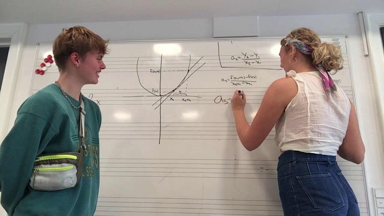 Luna og Esthers webmatematik
