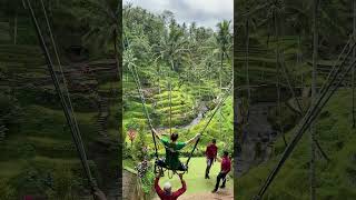 Bali rice terrace!!! #bali #ubud #travelvlog