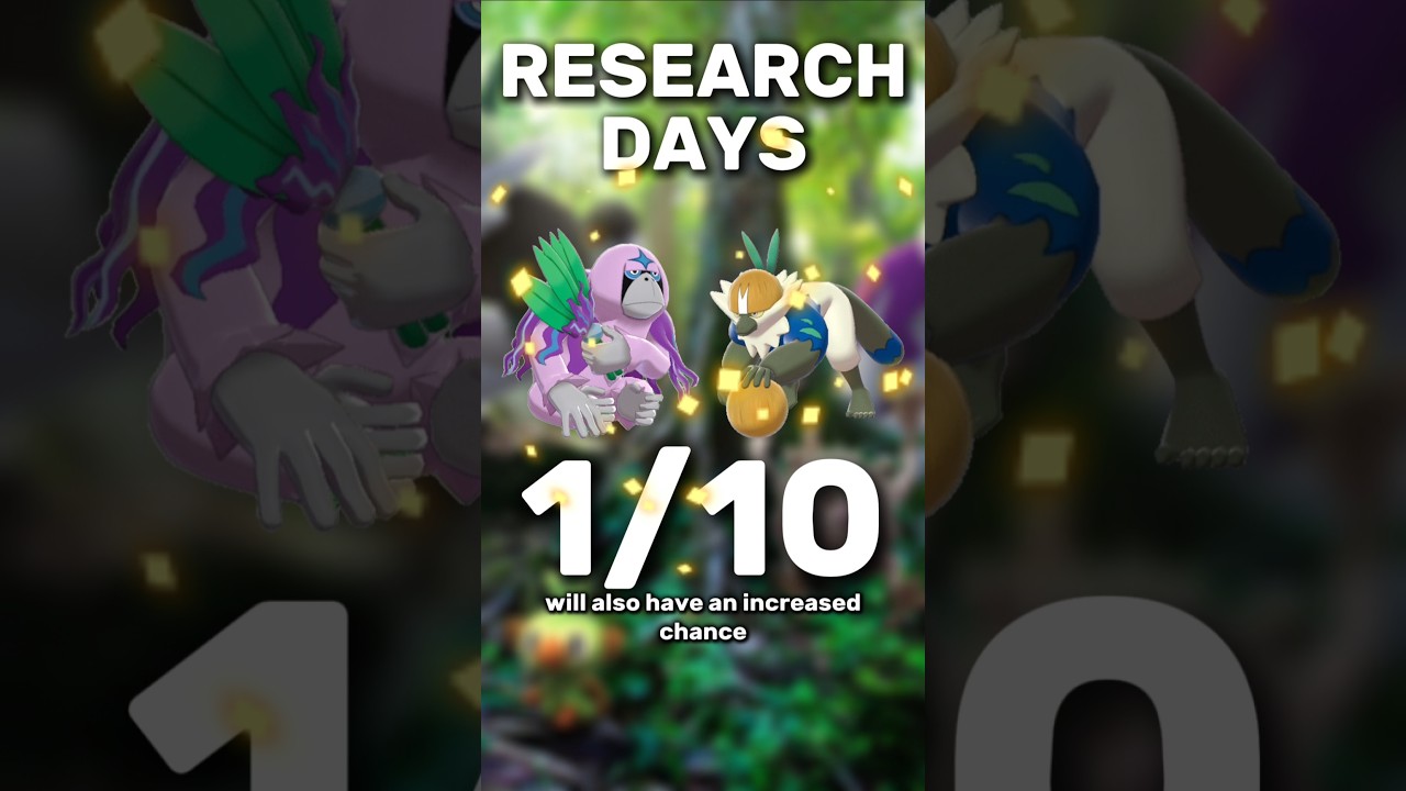 Oranguru and Passimian Research Day! 