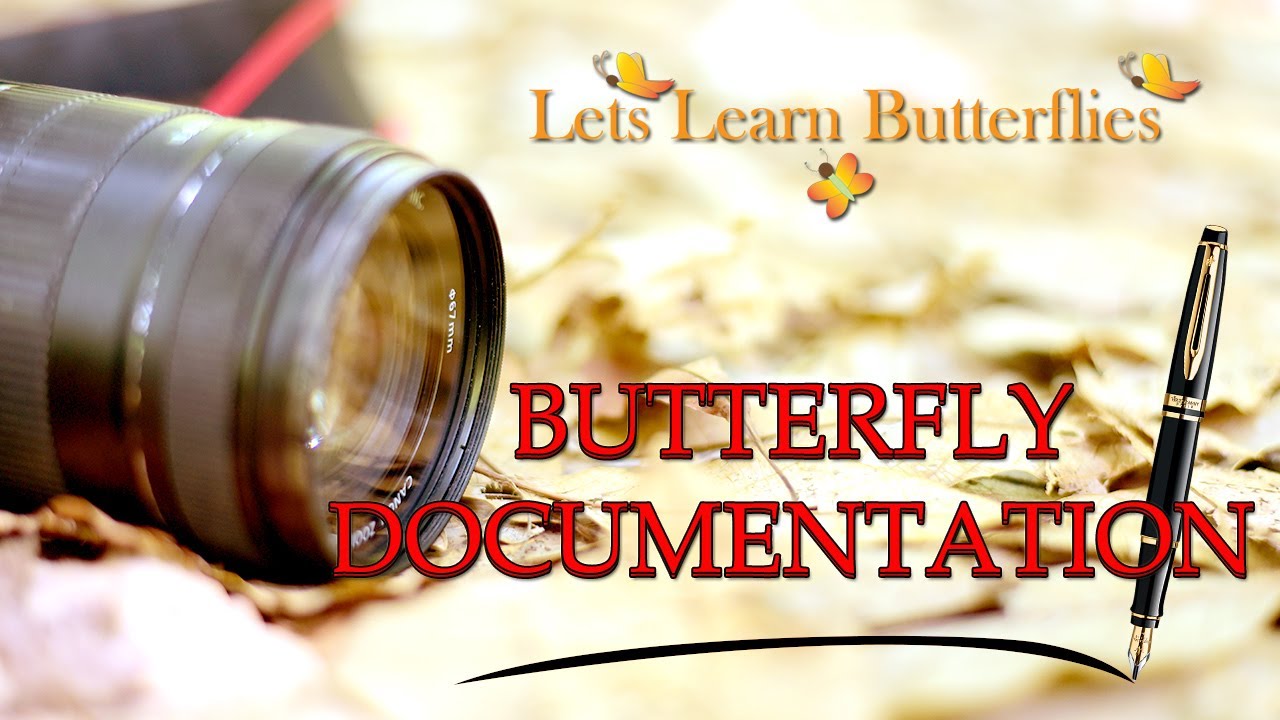 Butterfly Documentation - Systematically document your butterfly ...