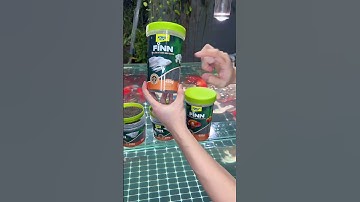 Cám Finn Koika - Thức ăn cao cấp cho các loại cá. Guppy, molly, cá chép, cá vàng….#03/11.25