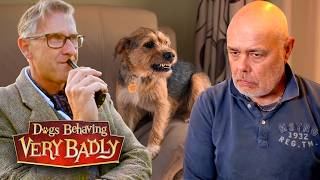 The Romanian Dog I Rescued Hates Me!