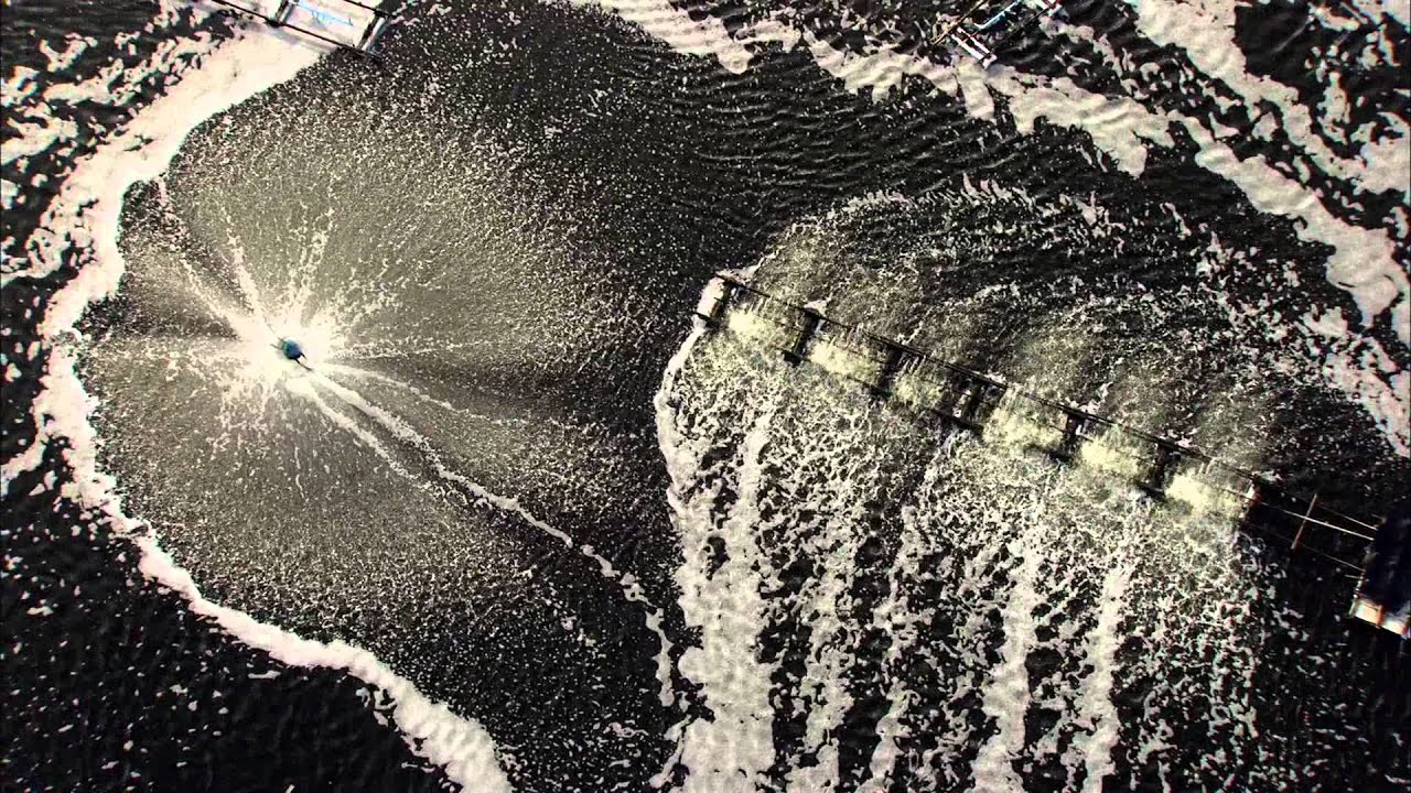 Дом. Свидание с планетой. (Home track 1) - YouTube