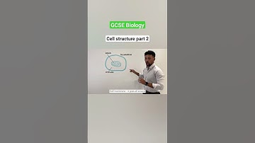 GCSE Biology - Cell Structure part 2