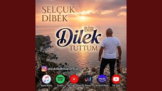 Bir Dilek Tuttum