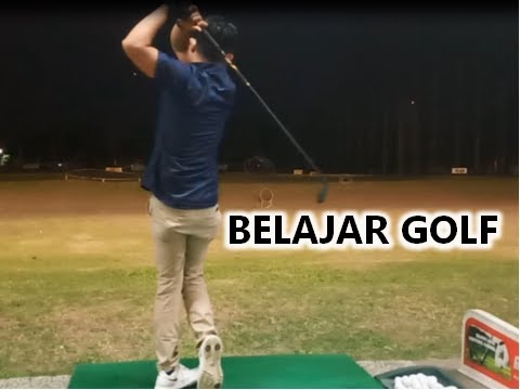 Video: Labrador Retriever Ini Dapat Membantu Mencari Bola Golf Yang Hilang