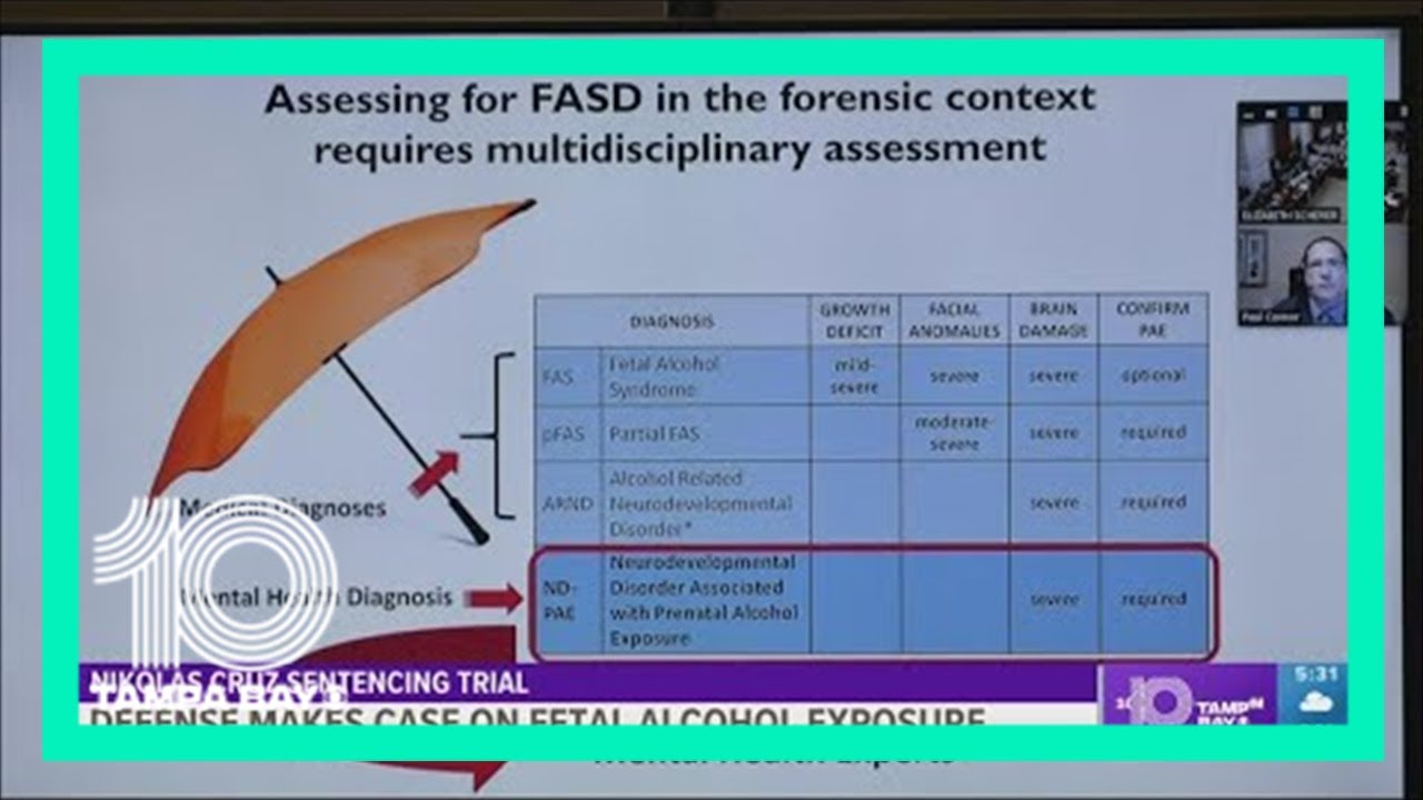 Psychologist: Parkland high school shooter suffered fetal alcohol damage