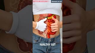 Happy Gut vs Inflamed Gut Animation | Stomach AI Art | 02