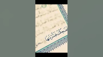 ماتيسر من القرآن الكريم #قناة_الأرتقاء #قران #اكسبلور #youtube #trending #تلاوات #beautiful #تلاوه