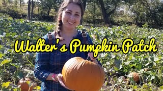 Walter's Pumpkin Patch screenshot 2