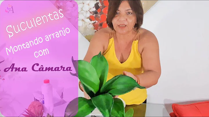 Como fazer arranjo comsuculentas - Montando com An...