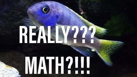 Flowrate from Aquarium Filters & Pumps