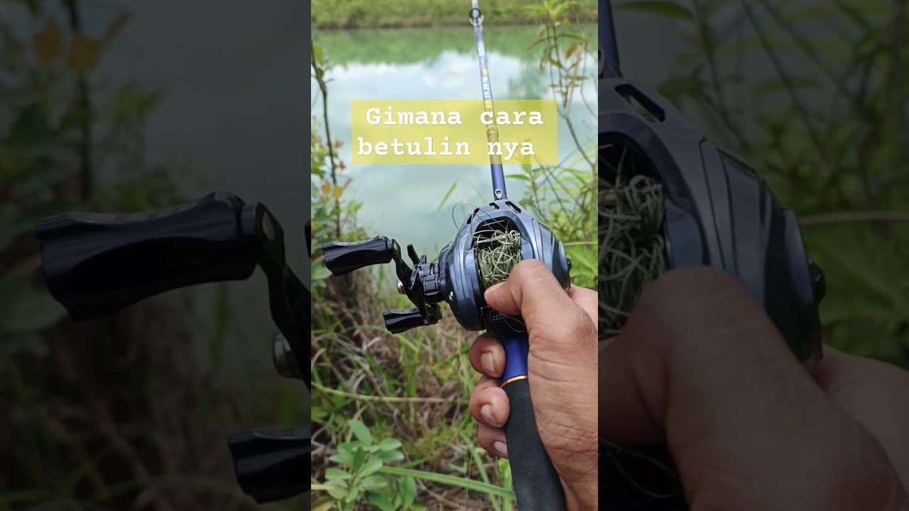 Tangled fishing line