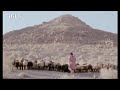 رجم اليهود للمبلغ المسيحي ادونيا 