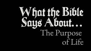 What the Bible Says About The Purpose of Life