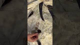 Unrolling a Nature’s Masterpiece!