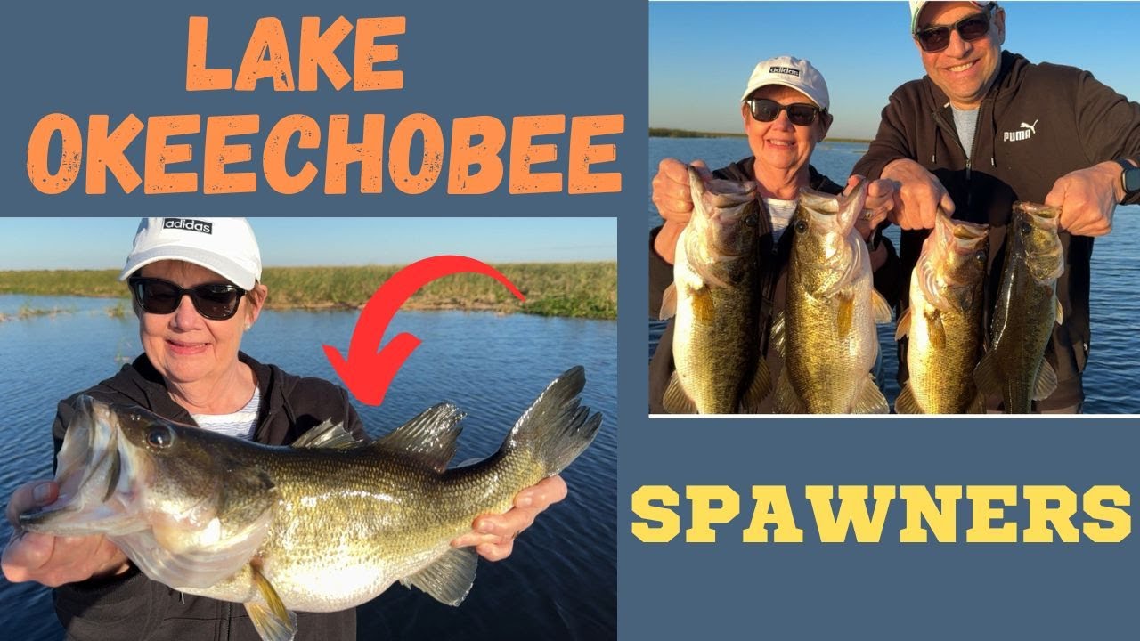 GO TO LAKE OKEECHOBE FOR THE BIG BASS!!