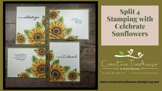 Split 4 Stamping technique using Celebrate Sunflowers
