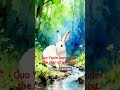The Rabbit #shorts #shortvideo #short