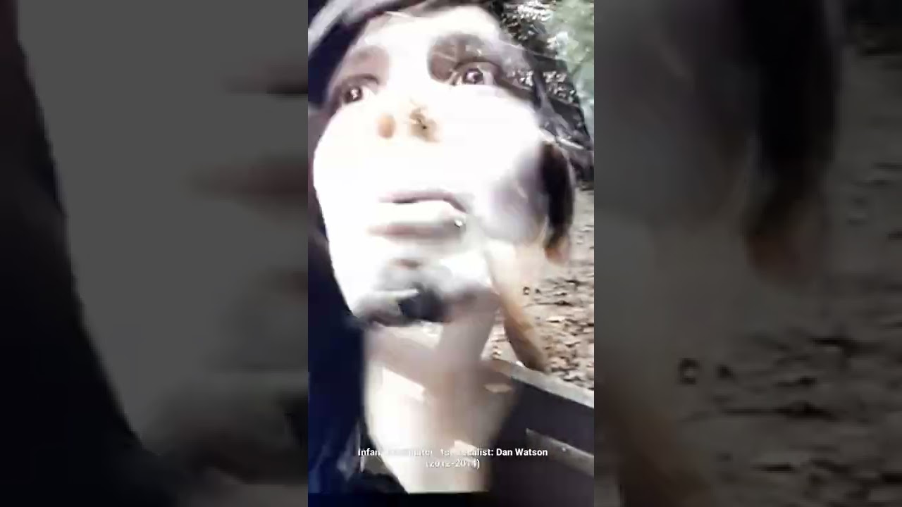 Infant Annihilator: 1st Vocalist: Dan Watson (2012-2014) 