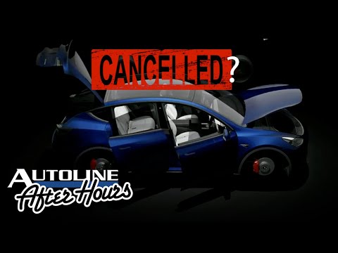 What Is Happening With That $25,000 Tesla?
