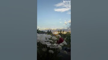 أواخر سورة البقرة ❤️ #اكسبلور #الله #قرآن #ترند#alaa_alshayah