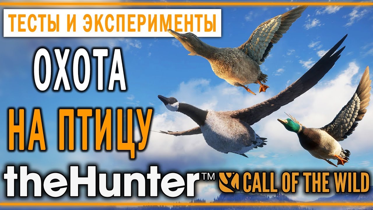 theHunter Call of the Wild #15 🦆 - Охота на Птицу - Кряква, Чирок, Казарка, Каменушка