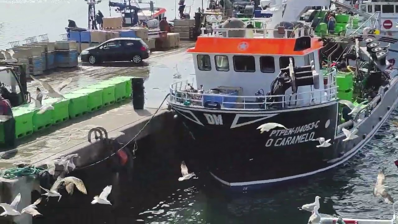 Barcos, Homens e Cais 10