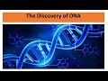 The discovery of dna