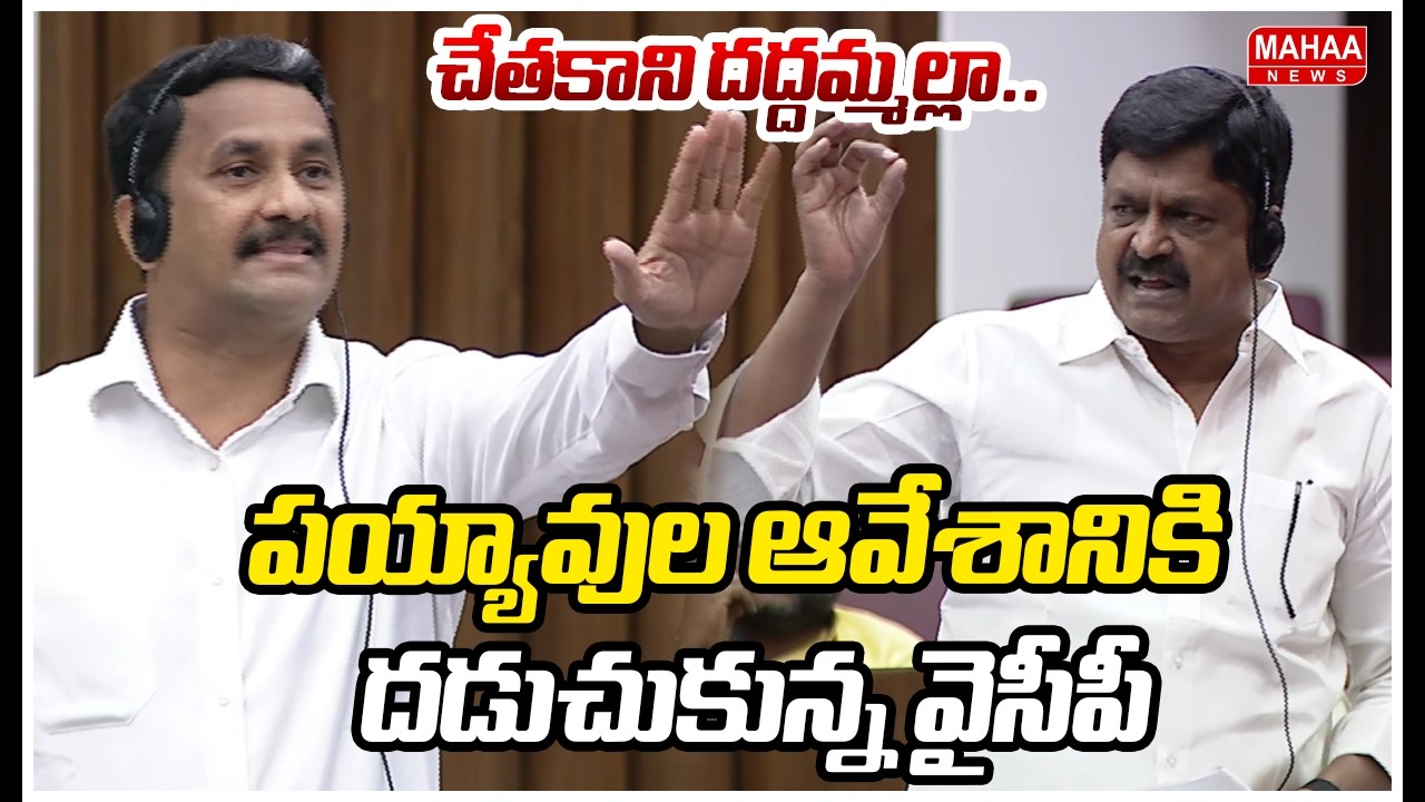 చేతకాని దద్దమ్మల్లా..పయ్యావుల ఆవేశానికి దడుచుకున్న వైసీపీ |Payyavula Keshav Fire On ycp | AP Council