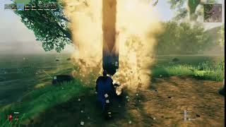 When you chop down a tree in Valheim