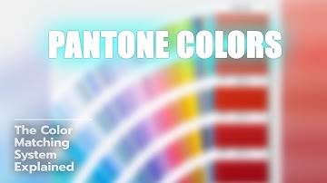 Discover Pantone Colors! 🎨🤔