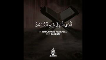 سورة البقرة | القارئ ناصر القطامي
