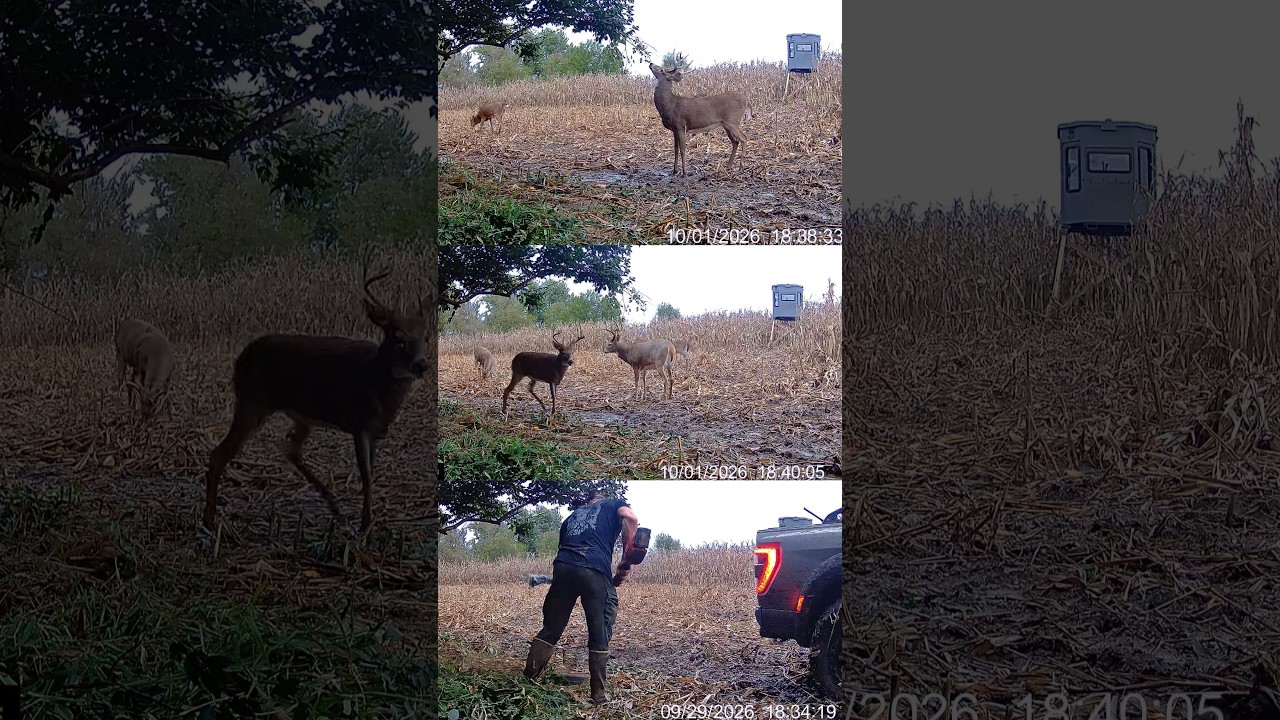 My Trail Camera Placement Tip For Better Coverage! 🦌 📸