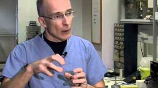 New larynx gives woman her voice back