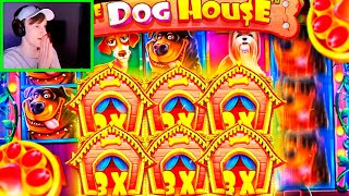 Give Us Blue Dog  Biggest Slots U0026  Casino Wins 18  500 Casino Gambling Moments