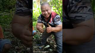 Turmeric Tealegit Turmeric Tea