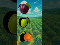 Come on, guess the picture of fresh fruit, part 8