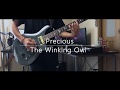 【The Winking Owl】Precious 弾いてみた【guitar cover】