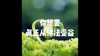 201903 你要想真正从佛法受益51099