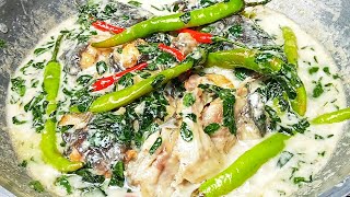 How To Cook Ginataang Spicy Hito | Spicy Catfish In Coconut Milk