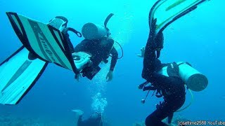 Group of Scuba Divers Stuck by the Current, Emergency Quick Ascent. Red Sea, Egypt