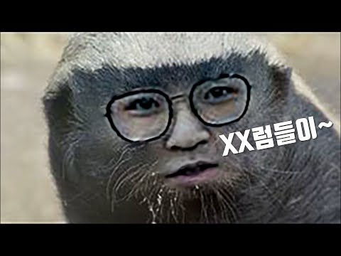 벤소리를 건들면 아주 X되는 거에요-  배틀그라운드 벤츠(PUBG BENZ)