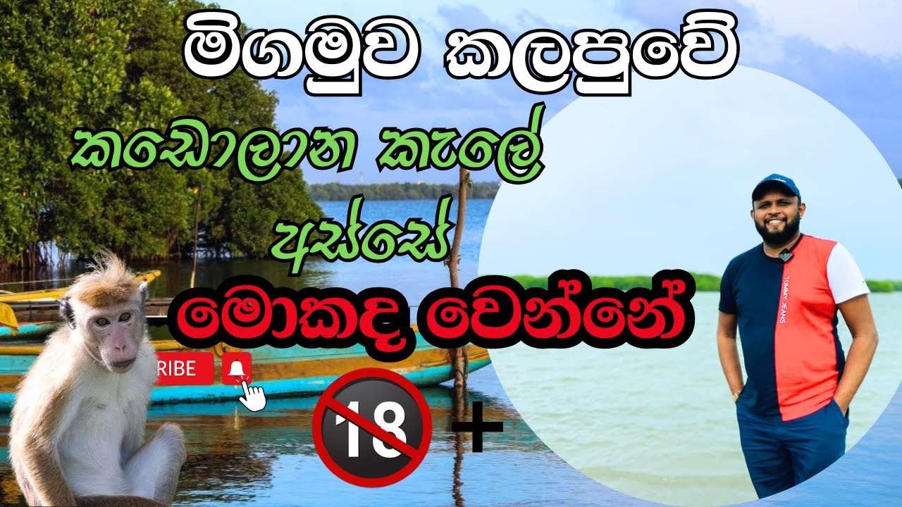 NEGOMBO LAGOON - මිගමුව කලපුව